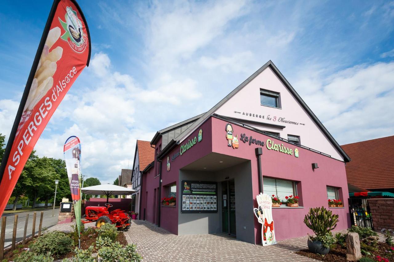 Les 3 Alsaciennes Apartment Sigolsheim ภายนอก รูปภาพ